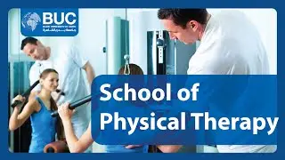 Physical Therapy/Manual therapy course
