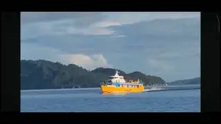 Spotted NATO ang viels liner 1