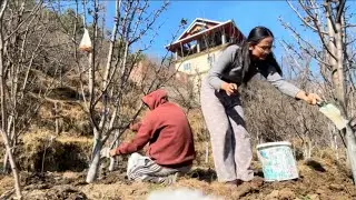 || Aaj gye hum khet|| #villagelife #newvlog #youtuber #vlogs #viralvlogs🫠