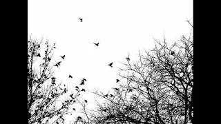 An Autumn For Crippled Children -  Everything  (2011)