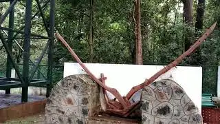 Parsili Resort MP tourism