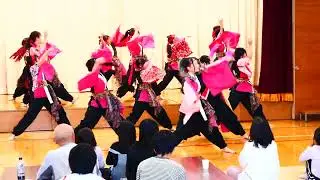 2025.11.2栄コミセンまつり　南中ソーラン　百凜花