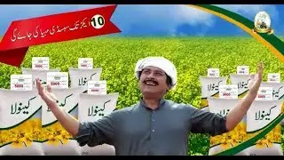 Subsidy on Canola Cultivation under Kissan Package