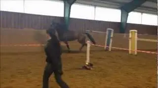 Extreme f&ouml;dd 09 - 12-04-22