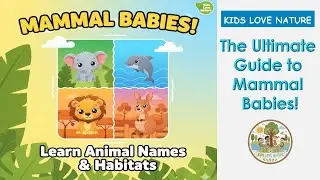 How Mammal Mommies Feed Their Babies | Animal Science for Kids: The Ultimate Guide to Mammal Babies!
