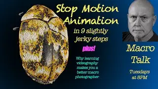 Stop Motion Animation - Macro Talk #79 -  A. Walls Photography, Jan 23  2024