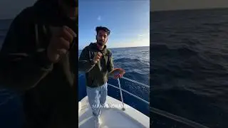 MINI camera On Fish shocking video 😱 #youtubeshorts #viralvideo #funny #adventure #ai