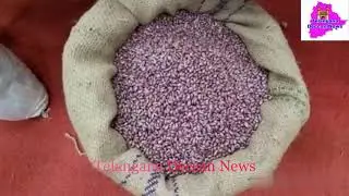 2.53 Tonnes of Fake Cotton Seeds seized by Cyberabad Police, 10 held