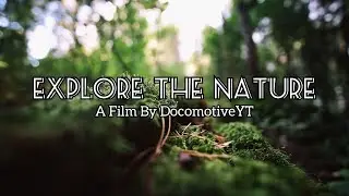 EXPLORE THE NATURE - A Cinematic Film / Naure B roll / 4k Cinematic