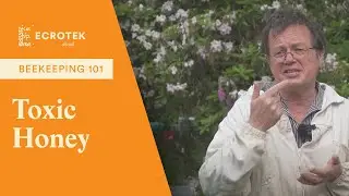 Beekeeping 101: Toxic Honey & Honey Testing - Dr Mark Goodwin