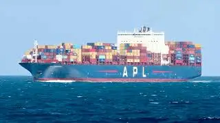 Deep draft red STI Grace a tanker and the blue container ship APL Savannah inbound to Port Phillip.