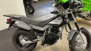 2021 Yamaha TW200 D69813