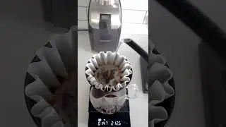 quick pov pour over brew with black and white roasters coffee