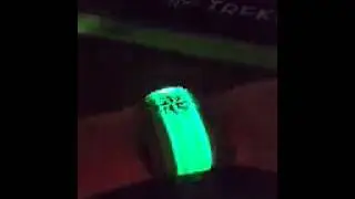 Trekwell LED wrist bands
