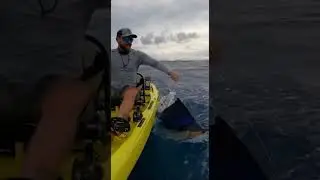Kayak Battle: Man Catches a Giant Marlin in the Open Ocean