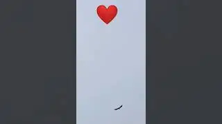 #nature#birds#flying#With#Love#Song#shreya ghosal#status#Be free live life happily#feel#Music#enjoy