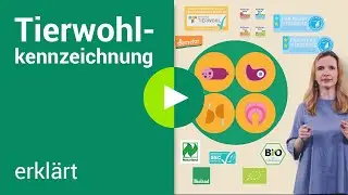 Tierwohl-Kennzeichnung erkl&auml;rt: Aus welcher Haltung stammen meine tierischen Lebensmittel?