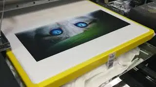 Rainbow RB-4560T direct to garment digital printing machine demo