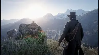 Best in the West - Red Dead Redemption 2