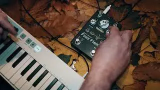 Fuzz Fields Internal Oscillator | Creating Sequences with CV Control