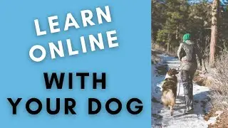 Online Dog Training Classes You & Your Dog will Love!