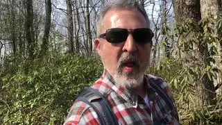 AT: Indian Grave Gap to Beauty Spot