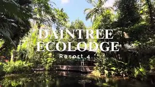 DAINTREE ECOLODGE RESORT