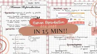 15 Minutes to Master Human Reproduction 🌸 | Fast Track Class 12 Biology