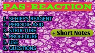 PAS reaction/MSc /Zoology/Semester2/ CSIRNET/Bpharma