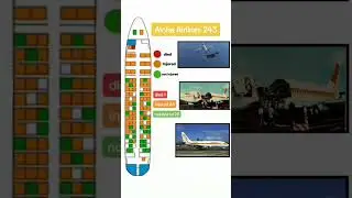 Aloha Airlines flight 243 passenger fatality layout #aloha #aeroplanecrash #airdisaster #planecrash