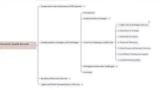 4.2  Implementation Strategies And Challenges I Fundamentals of Health Informatics - Course