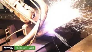 Flush Cut   Web - PythonX Video