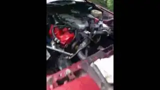 Z31 with maxima VG  running 3