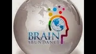 Прошло две недели, Brain Fuel Plus работает!!! 1
