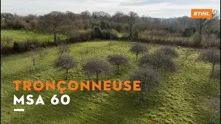 D&eacute;couvrez la tron&ccedil;onneuse &agrave; batterie MSA 60 avec St&eacute;phane Marie | STIHL