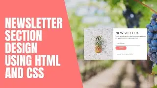Newsletter Section Design Using HTML And CSS ||Code Mark