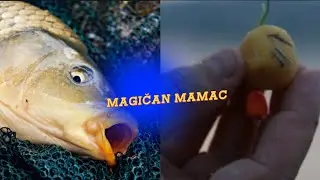 MAGIČAN MAMAC ZA DUNAVSKOG ŠARANA