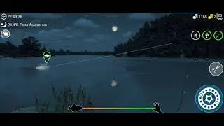 My Fishing World #34 // Река АМАЗОНКА...