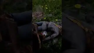 Deer said no #rdr2 #gaming #gameplay
