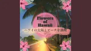 Aloha Isle