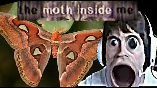 Moth Phobia guy plays moth horror indy game