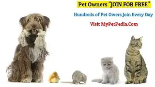 My Pet Pedia - Your Local Pet Care Encyclopedia