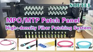 SOFTEL High-density MPO/MTP Fiber Optic Patch Panel | OM3 OM4  MPO to LC Patchcord Adapter Cables