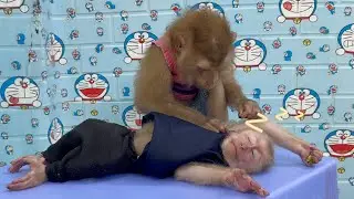Sam boy takes care of Monkey baby Theo's sweet sleep