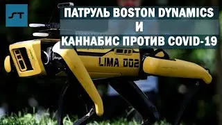 Патруль Boston Dynamics и Каннабис Против COVID-19 - Science Tomorrow #32
