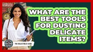 What Are The Best Tools For Dusting Delicate Items? - The Collectibles Guide