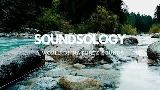 Gorgeous Mountain River Sounds- 8 hours of Relaxation, Meditation, Study & Sleep