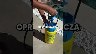 Zrobiła to przy basenie i kamienie już się nie ruszyły 😳