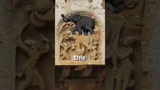 How Indians Used Elephants?🐘