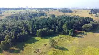 Risby Warren Nature Reserve, Lincolnshire - Drone Footage #lincolnshire #uk #drone